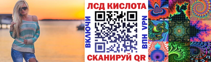 где можно купить наркотик Новоалтайск Наркотические марки 1,8мг