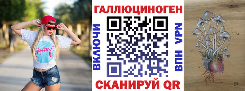 Псилоцибиновые грибы Cubensis  Новоалтайск 